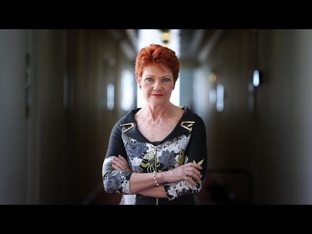 ⁣'Let's just stop it': Pauline Hanson calls on the government to ban foreign investmen
