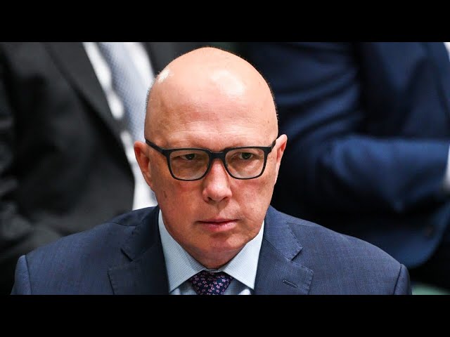 ⁣Aussies must be ‘careful’ not to rely on Peter Dutton’s ‘easy wins’ in lowering migration