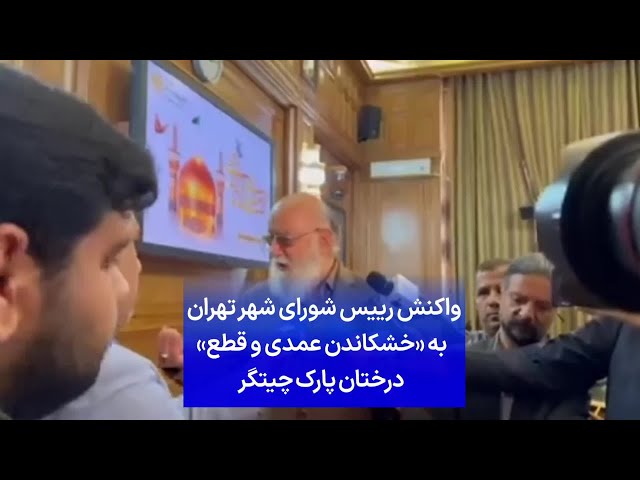 ⁣واکنش رییس شورای شهر تهران به «خشکاندن عمدی و قطع» درختان پارک چیتگر