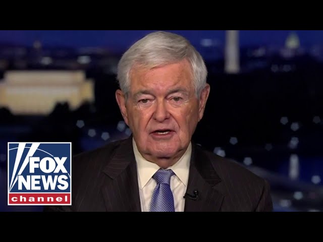 ⁣Newt Gingrich: Biden's a 'crook and a liar'