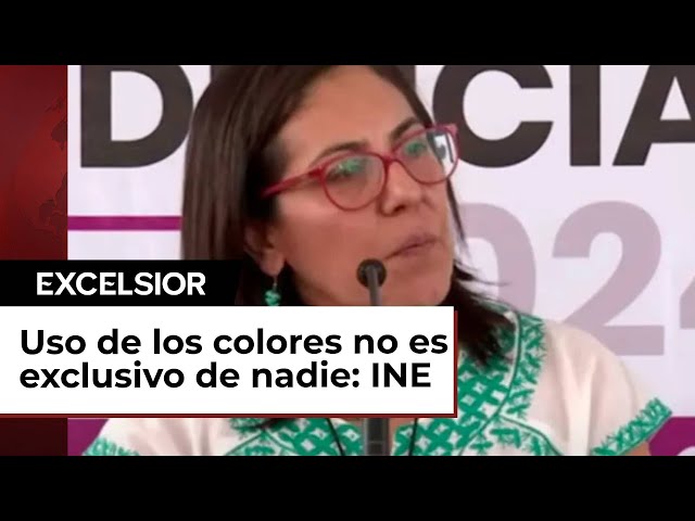 Consejeros del INE hablan sobre el uso del color rosa en marcha