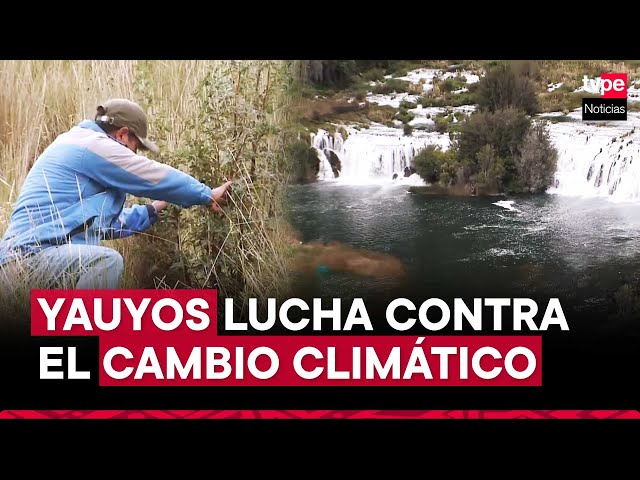 ⁣Cosecha de agua en Yauyos: turismo, agricultura y ecología conviven en las afueras de Lima