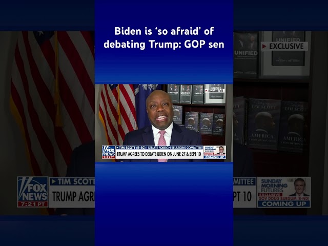 ⁣‘ANYTIME, ANY PLACE’: Trump vows to ‘expose’ Biden’s lies in debate #shorts