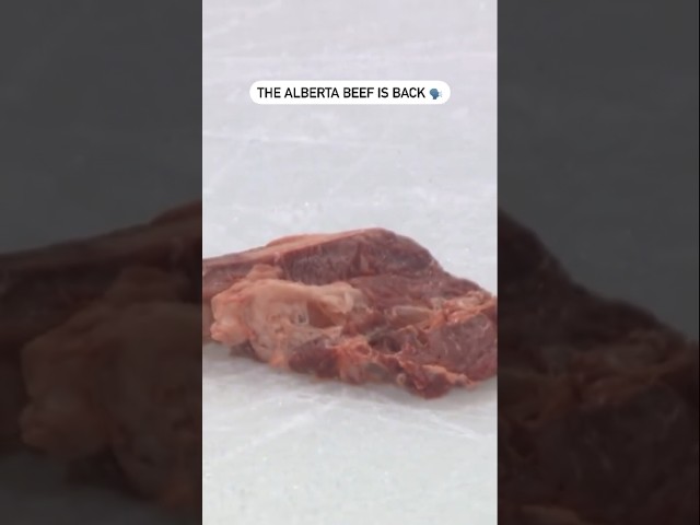 ⁣The Alberta Beef Is Back 