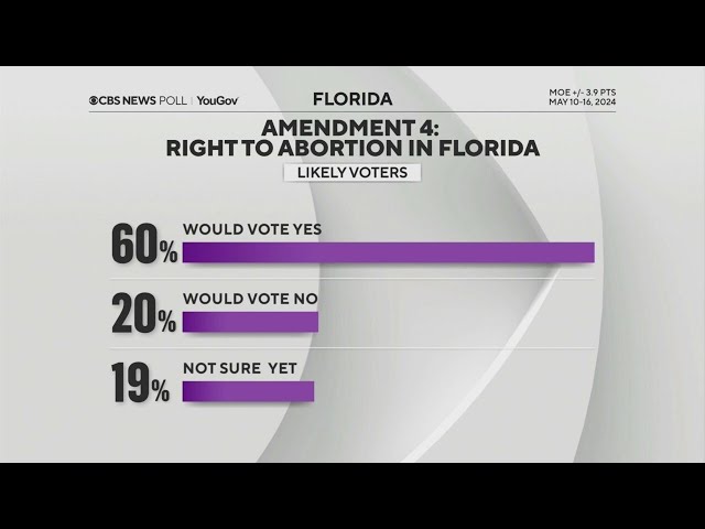 ⁣CBS Exclusive Florida Polling | Facing South Florida