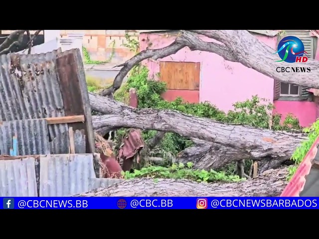 ⁣Tree falls on a house in Barbarees Gardens