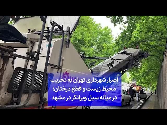 ⁣اصرار شهرداری تهران به تخریب محیط زیست و قطع درختان؛ در میانه سیل ویرانگر در مشهد