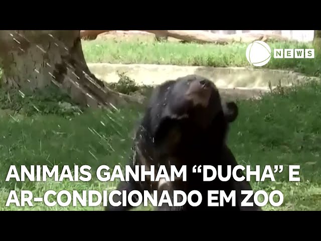 ⁣Animais de zoológico na Índia ganham "ducha" e ar-condicionado