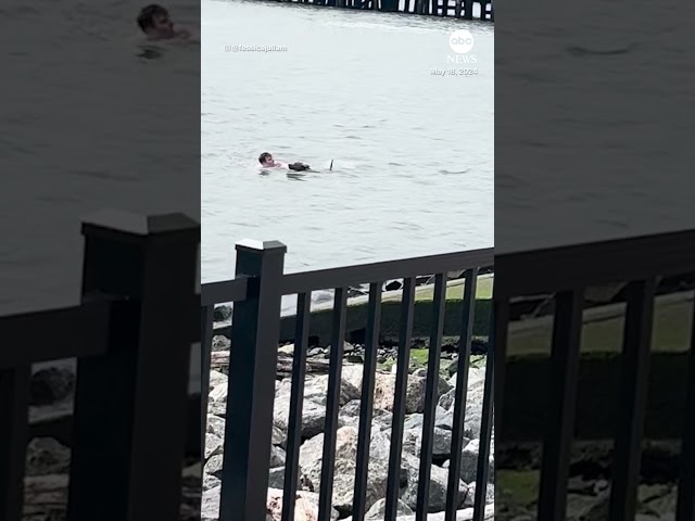 ⁣Man dives into Hudson River to save dog struggling off Hoboken, New Jersey