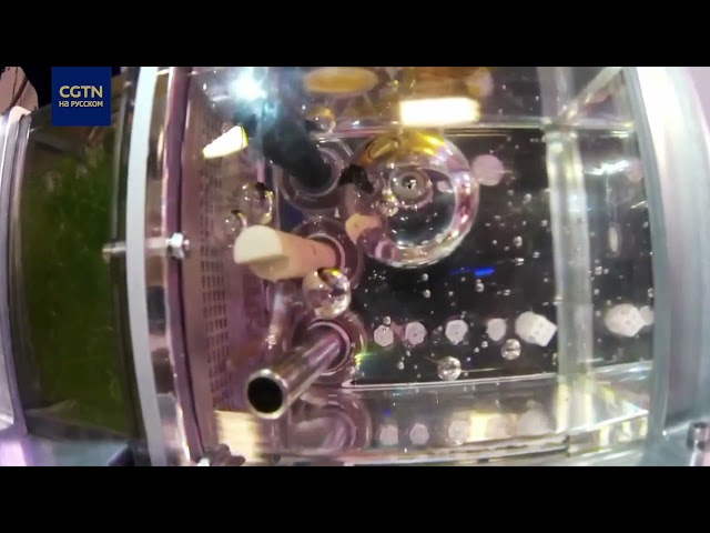⁣Содержащиеся на китайской космической станции рыбы данио-рерио находятся в хорошем состоянии