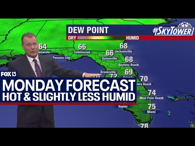 ⁣Tampa weather | Still hot, slightly less humid