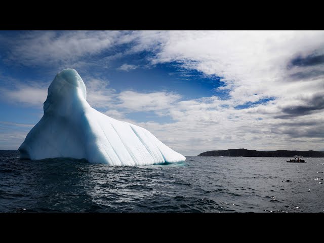 ⁣Shrinking icebergs impacting tourism in Newfoundland