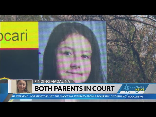 ⁣Finding Madalina: Cojocari parents set for court