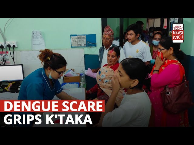 ⁣Why Are Dengue Cases On A Rise In Karnataka | NewsMo
