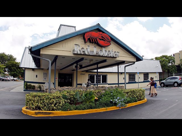 ⁣RED LOBSTER NEWS | Restaurant chain files for bankruptcy with US$1B in debt