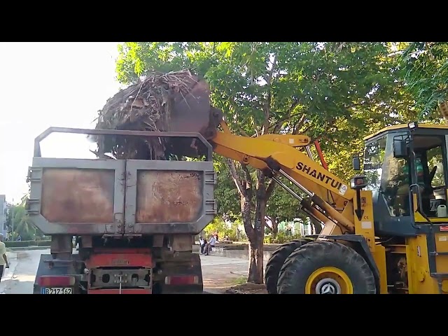 Continúa estrategia gubernamental para la higienización de la ciudad de #LasTunas