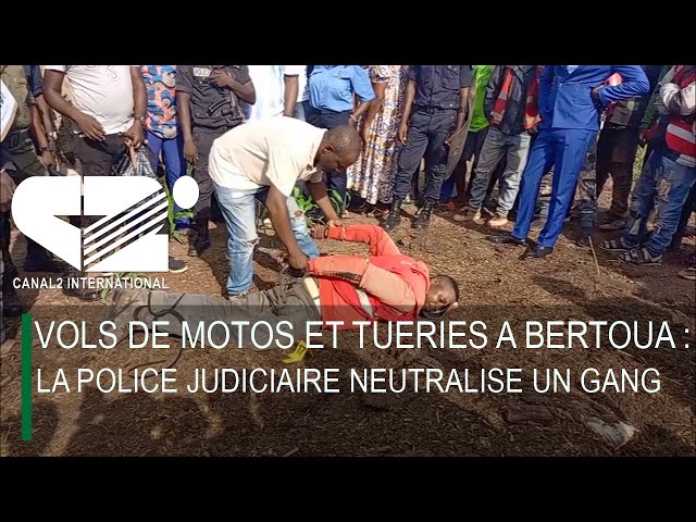 ⁣VOLS DE MOTOS ET TUERIES A BERTOUA : La police judiciaire neutralise un gang