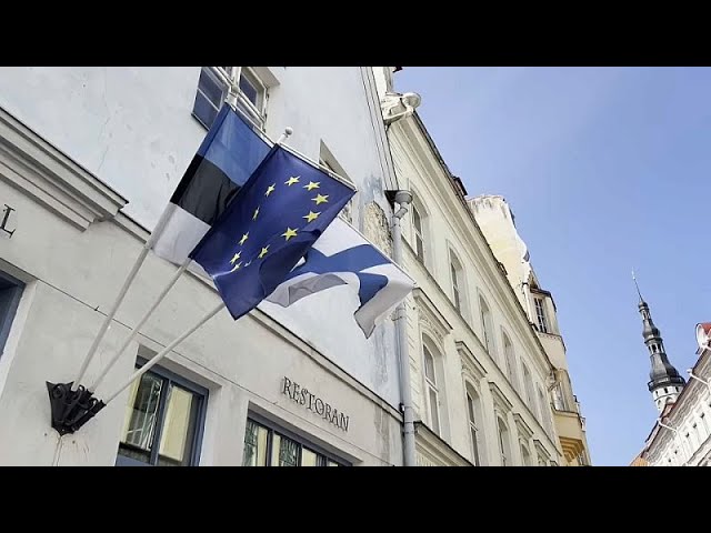 ⁣Estonie : des milliers de Russes s'apprêtent à voter aux élections européennes