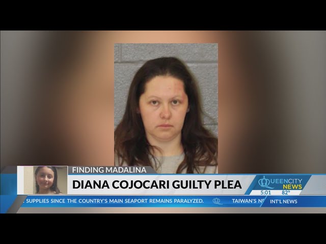⁣Diana Cojocari pleads guilty to failure to report missing child