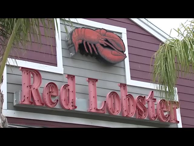 ⁣What brought down Red Lobster?