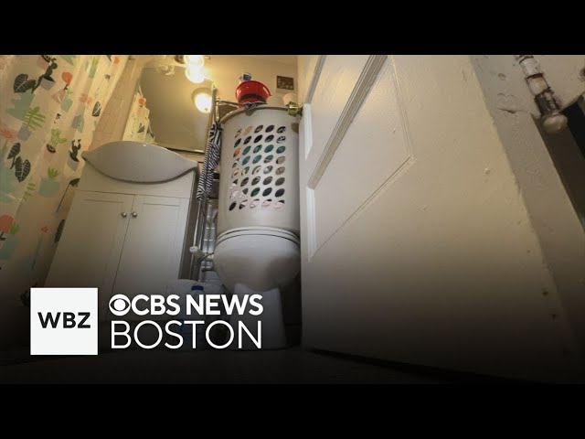 ⁣Brookline residents report rats crawling through toilet into apartment