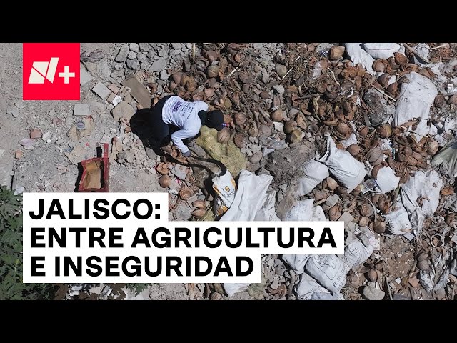 Jalisco: retos y oportunidades | Elecciones 2024