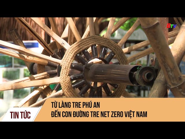 Từ làng tre Phú An đến con đường tre Net Zero Việt Nam