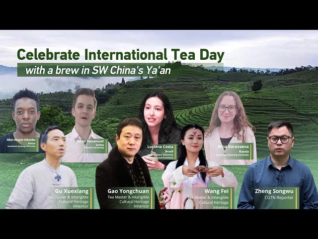 ⁣Live: Celebrate International Tea Day with a brew in SW China's Ya'an