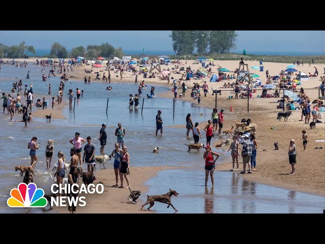 ⁣Chicago introducing NEW beach security measures for summer 2024