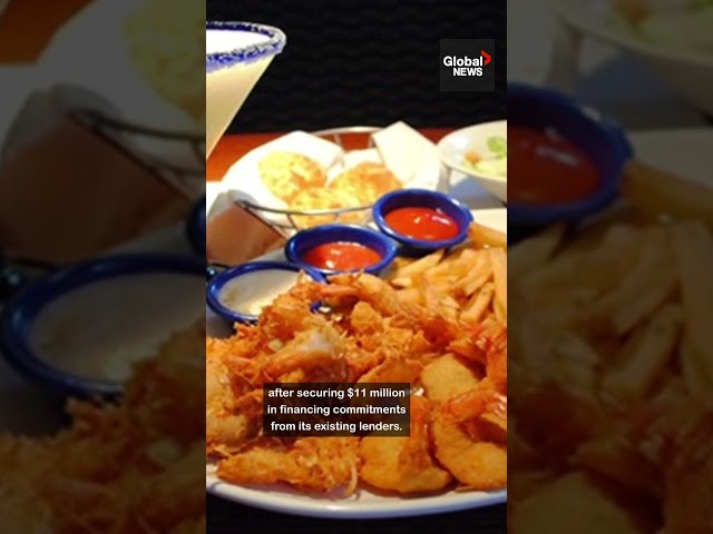 ⁣Red Lobster files for bankruptcy protection — Will restaurants remain open?  #food