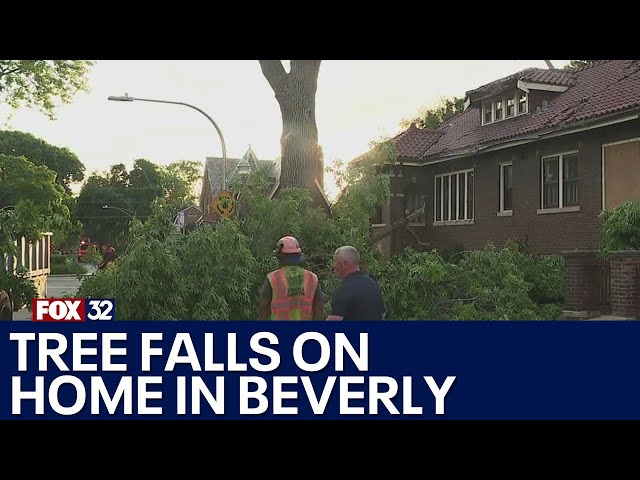 ⁣Tree crashes into Beverly home during severe storm; over 30 reports of damage