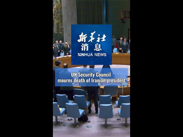 Xinhua News | UN Security Council mourns death of Iranian president