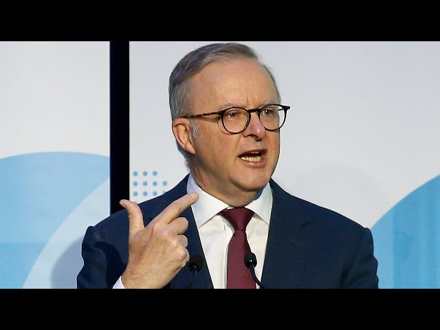 ⁣Anthony Albanese is ‘out of his depth’: Peter Dutton