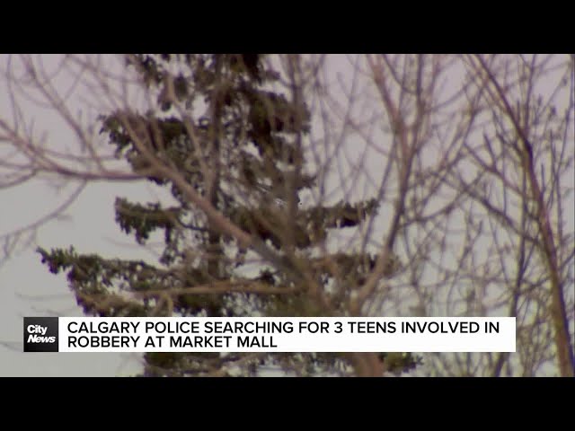 ⁣Calgary Police searching for 3 teens involved in robbery at Market Mall