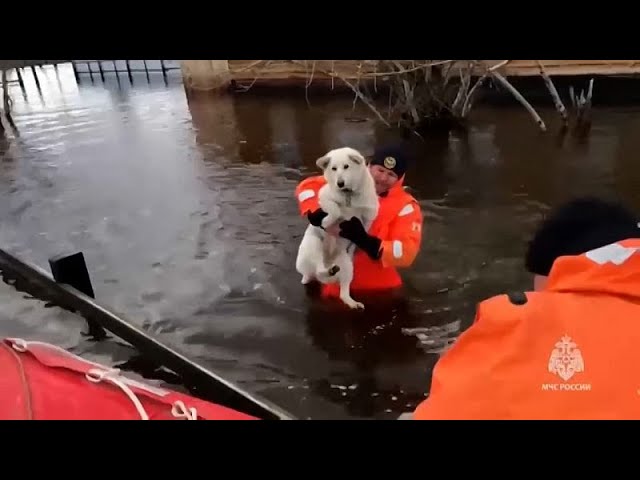 ⁣Inondations: L'état d'urgence est déclaré en Yakoutie | euronews 
