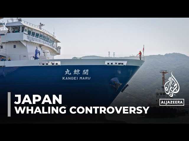 ⁣Japan launches first whaling ship in 70 years