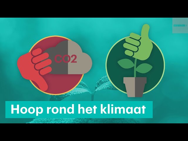 Aanpak klimaatverandering: er gaat ook veel wél goed • Z zoekt uit