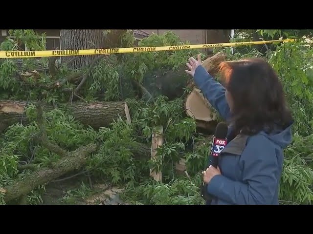 ⁣Cleanup begins in Beverly after severe weather plows through Chicago area