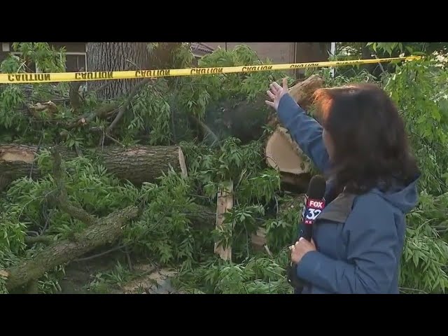 Cleanup begins in Beverly after severe weather plows through Chicago area