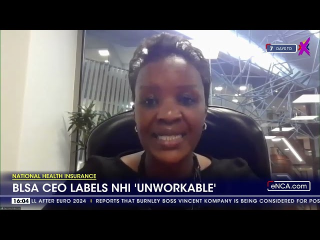 ⁣Business Leadership SA CEO labels NHI as unworkable