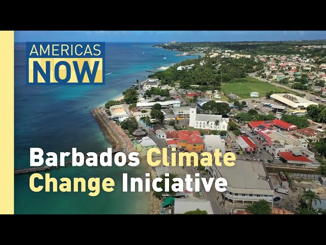 ⁣The Bridgetown Initiative on Climate Change