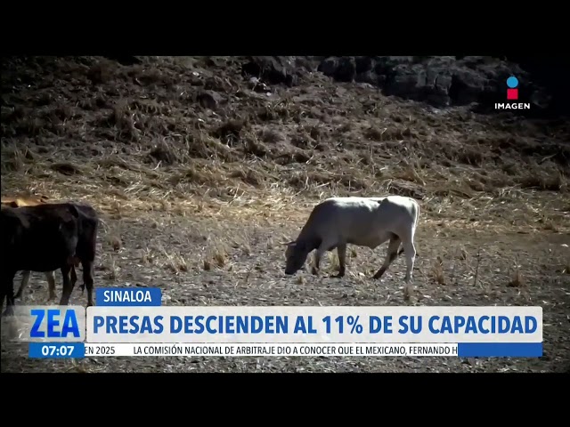 ⁣Red de presas en Sinaloa desciende al 11.8% de su capacidad