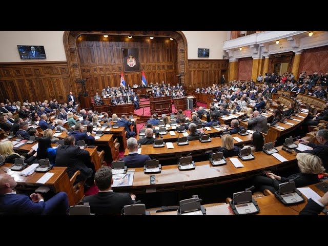 ⁣Serbian parliamentary minnow pushes for 'Russian law' equivalent