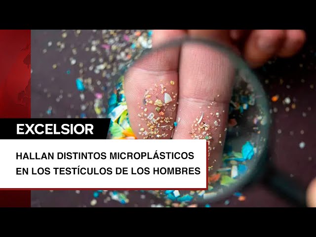 Hallan microplásticos cancerígenos en los testículos de los hombres