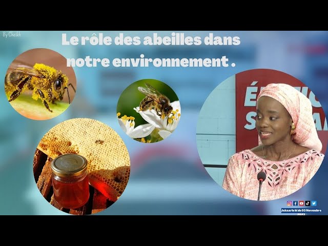 ⁣MAREME AISSATOU DIAKHATE "Le rôle des abeilles dans notre environnement"