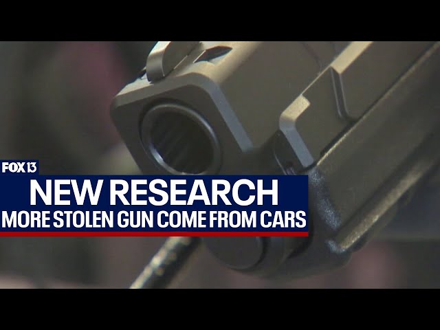 ⁣Guns stolen from cars skyrockets: Researchers