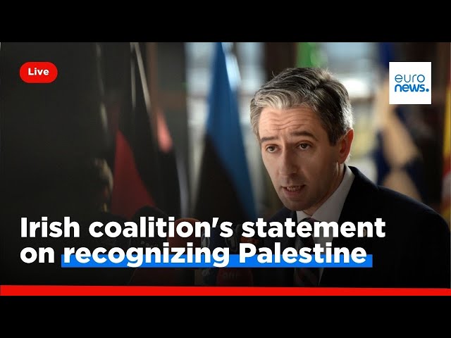 ⁣Irish coalition's statement on recognizing Palestine