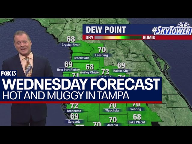 ⁣Tampa weather | hot, humid with some clouds May 22, 2024