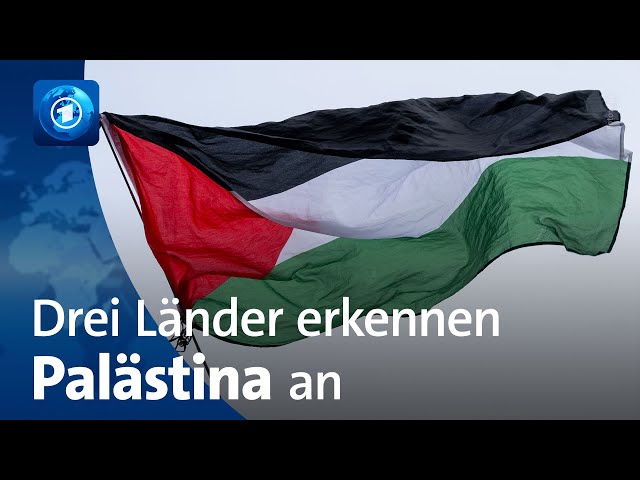 ⁣Norwegen, Irland und Spanien erkennen Palästina als Staat an