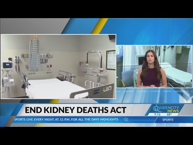 ⁣Pilot program would pay people to donate kidney